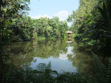 Ferienhaus in Chiang Mai (Chiang Mai) oder Ferienwohnung oder Ferienhaus