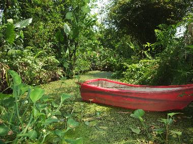 Ferienhaus in Chiang Mai (Chiang Mai) oder Ferienwohnung oder Ferienhaus