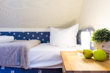 Ferienhaus in Zingst (Fischland-Dar-Zingst) oder Ferienwohnung oder Ferienhaus