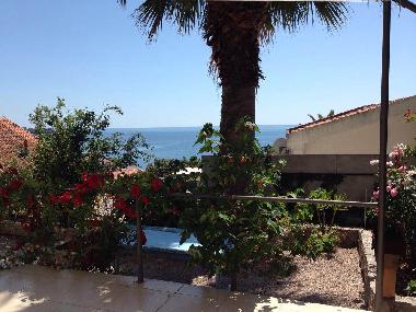 Ferienwohnung in Bar (Montenegro) oder Ferienwohnung oder Ferienhaus