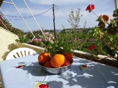 Ferienwohnung in Nafplio (Argolida) oder Ferienwohnung oder Ferienhaus