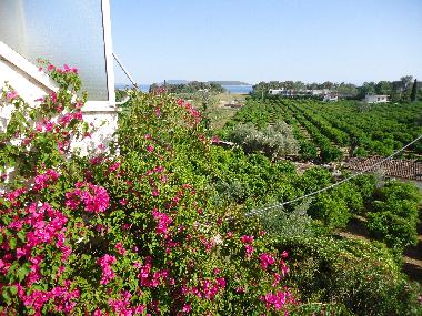 Ferienwohnung in Nafplio (Argolida) oder Ferienwohnung oder Ferienhaus