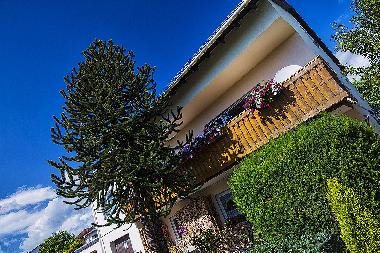 Ferienwohnung in Limburg (Westerwald-Lahn-Taunus) oder Ferienwohnung oder Ferienhaus