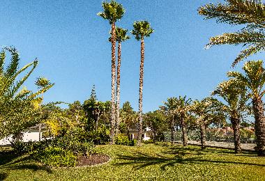 Ferienhaus in Verdizela (Grande Lisboa) oder Ferienwohnung oder Ferienhaus