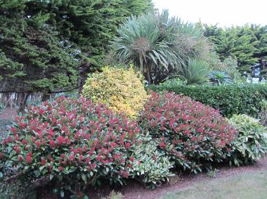  der Park mit Pflanzenarten Gew�chsen l�dt die Flora als gr�ne Oase zum Flanieren und Entspannen ein