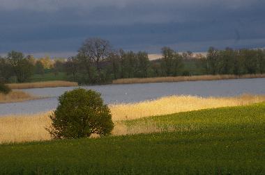 Blick von der Terasse auf die Wiek im Frhjahr