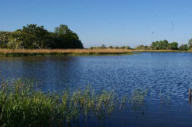 Blick vom Bootssteg im Sommer