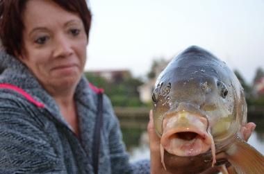 Villa in Workum (Friesland) oder Ferienwohnung oder Ferienhaus