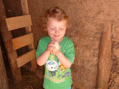 Ferienhaus in Popovo (Turgovishte) oder Ferienwohnung oder Ferienhaus