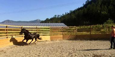 Ferienwohnung in La Motte du Caire (Alpes-de-Haute-Provence) oder Ferienwohnung oder Ferienhaus