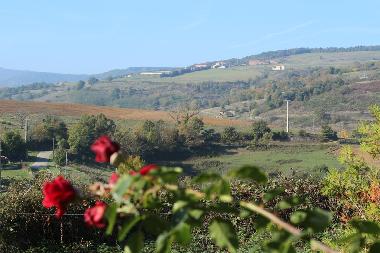 Ferienhaus in St Barth�l�my Le Plain (Ard�che) oder Ferienwohnung oder Ferienhaus