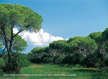 Ferienwohnung in CASTIGLIONE DELLA PESCAIA / PRINCIPINA A MARE (Gro (Grosseto) oder Ferienwohnung oder Ferienhaus