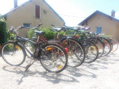 Fahrradverleih ist kostenlos