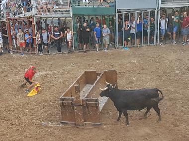 Ferienhaus in Borriol (Castell�n / Castell�) oder Ferienwohnung oder Ferienhaus