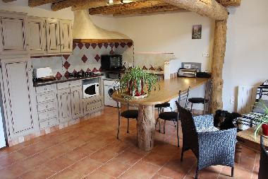 Ferienwohnung in DREUILHE (Ari�ge) oder Ferienwohnung oder Ferienhaus