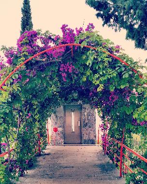Ferienwohnung in Antalia (Antalya) oder Ferienwohnung oder Ferienhaus