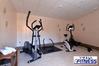 Pension in BEBLENHEIM (Haut-Rhin) oder Ferienwohnung oder Ferienhaus