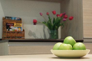 Pension in Budapest (Budapest) oder Ferienwohnung oder Ferienhaus