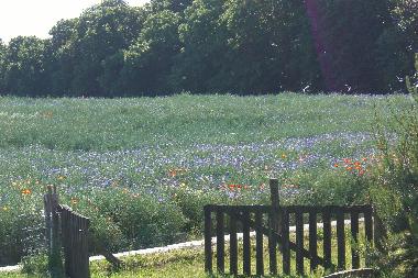 Ferienhaus in Garz (Ostsee-Inseln) oder Ferienwohnung oder Ferienhaus