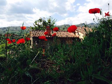 Pension in massa e cozzile (Pistoia) oder Ferienwohnung oder Ferienhaus