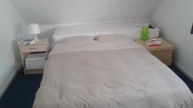Villa in Oudemirdum (Friesland) oder Ferienwohnung oder Ferienhaus