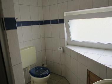 Badezimmr mit Toilette, Dusche und Handwaschbecken 