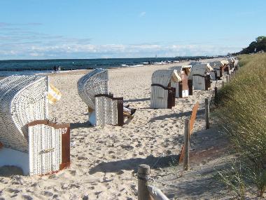 Ferienwohnung in K�hlungsborn (Mecklenburgische Ostseek�ste) oder Ferienwohnung oder Ferienhaus