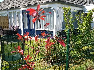Ferienhaus in Breskens (Zeeland) oder Ferienwohnung oder Ferienhaus