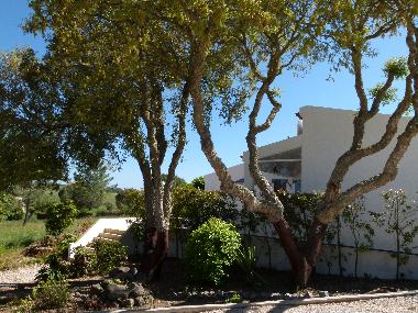 Nordseite des Hauses