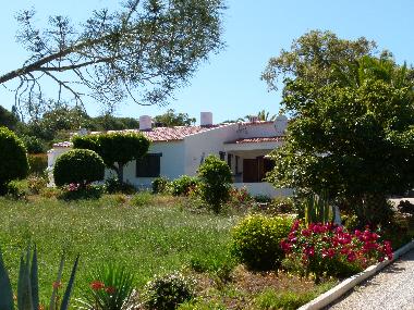 Garten mit Zufahrtsweg 