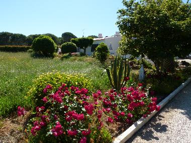 Gartengrundst�ck mit vielen Blumen