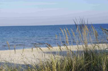 Ferienwohnung in Marina Wendtorf (Ostsee-Festland) oder Ferienwohnung oder Ferienhaus
