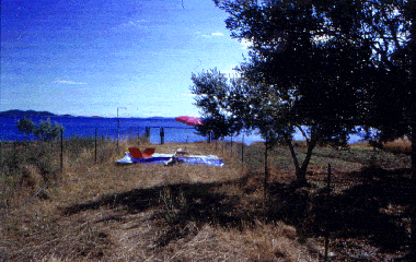 Villa in Pakostane (Zadarska) oder Ferienwohnung oder Ferienhaus