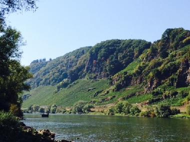 Ferienhaus in Burg (Mosel - Saar) oder Ferienwohnung oder Ferienhaus