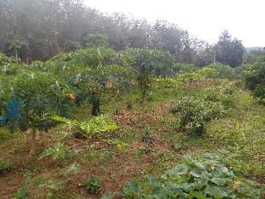 Ferienhaus in chackpong (Rayong) oder Ferienwohnung oder Ferienhaus