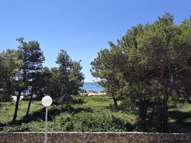 Ferienwohnung in Vir (Zadarska) oder Ferienwohnung oder Ferienhaus