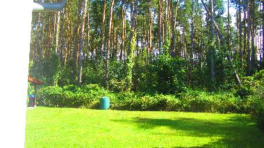 Ferienhaus in Helmsrade  (Mecklenburgische Seenplatte) oder Ferienwohnung oder Ferienhaus