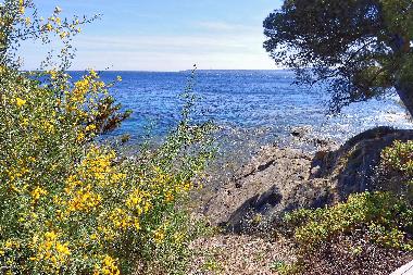 Ferienwohnung in Les Issambres (Var) oder Ferienwohnung oder Ferienhaus