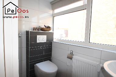 Ferienhaus in Noordwijk aan Zee (Zuid-Holland) oder Ferienwohnung oder Ferienhaus