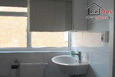 Ferienhaus in Noordwijk aan Zee (Zuid-Holland) oder Ferienwohnung oder Ferienhaus