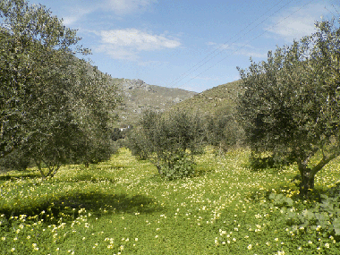 Ferienwohnung in Sivas -Kreta (Irakleio) oder Ferienwohnung oder Ferienhaus