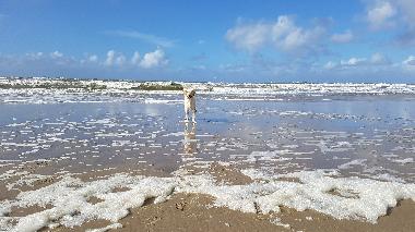 Strandschnheit