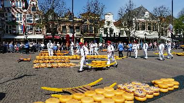 Ksemarkt in Alkmaar