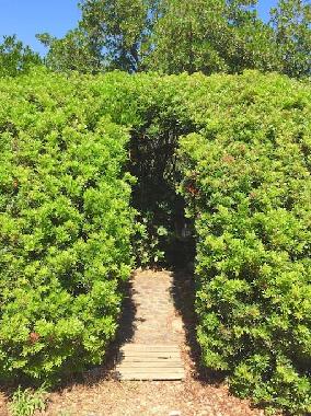 Ferienhaus in Porto Vecchio (Corse-du-Sud) oder Ferienwohnung oder Ferienhaus