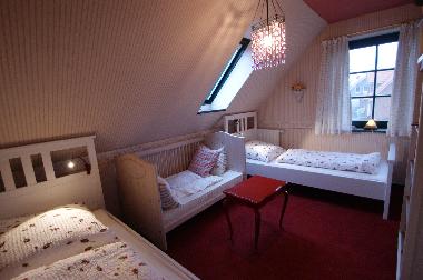 Ferienhaus in Sch�nberg-Brasilien (Ostsee-Festland) oder Ferienwohnung oder Ferienhaus