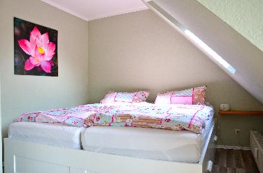 Ferienwohnung in Sch�nberger Strand (Ostsee-Festland) oder Ferienwohnung oder Ferienhaus