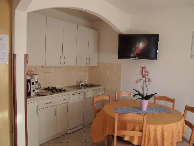 Ferienwohnung in Novigrad-Cittanova (Istarska) oder Ferienwohnung oder Ferienhaus