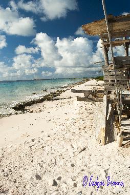 Ferienwohnung in Kralendijk (Bonaire) oder Ferienwohnung oder Ferienhaus