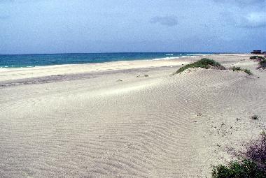 Strand vor den Bungalows