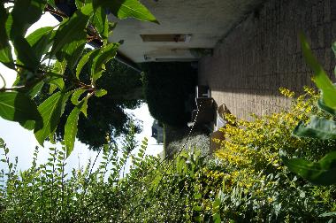 Ferienhaus in BRETTEVILLE DU GRAND CAUX (Seine-Maritime) oder Ferienwohnung oder Ferienhaus